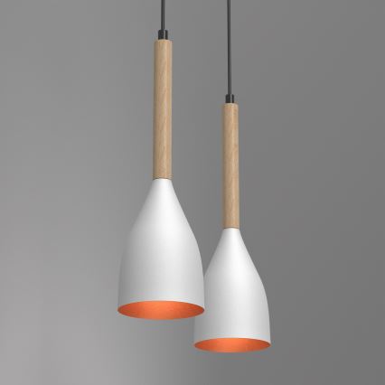 Подвесная люстра MUZA 2xE27/60W/230V