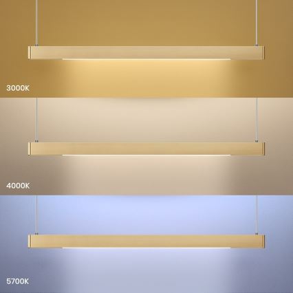 Подвесная люстра на тросе LINEA LED/36W/230V 3000/4000/5700K CRI 90 золотая