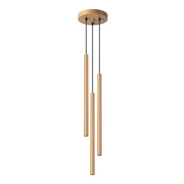 Подвесная люстра PASTELO 3xG9/8W/230V золотистый