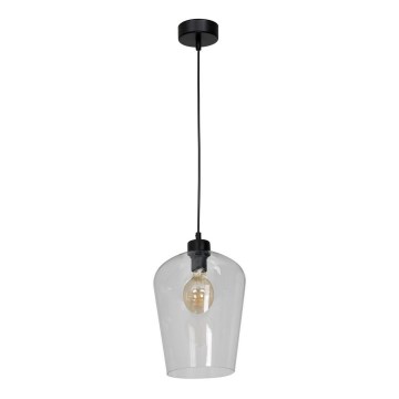 Подвесная люстра SANTIAGO 1xE27/60W/230V прозрачный