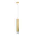 Подвесная люстра TUBI 1xGU10/8W/230V золотистый