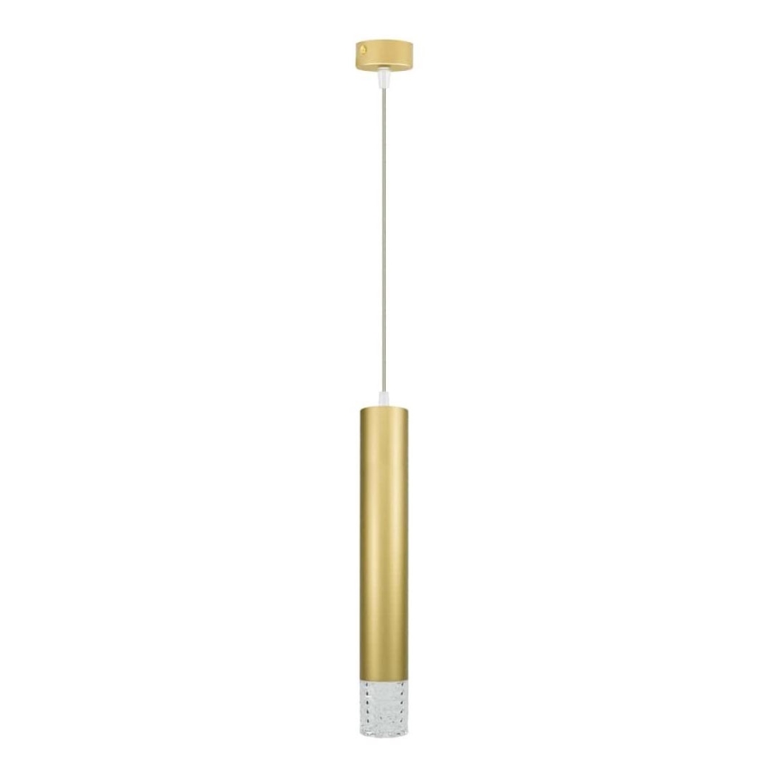 Подвесная люстра TUBI 1xGU10/8W/230V золотистый
