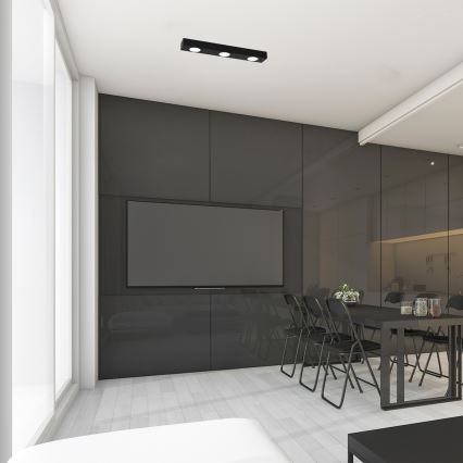 Потолочный светильник ALEXANDER 3xGX53/12W/230V черный