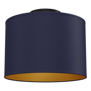 Потолочный светильник ARDEN, 1xE27/15W/230V, диаметр 25 см, синий