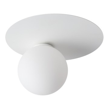 Потолочный светильник ARGON 1xG9/12W/230V белый