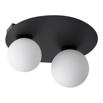 Потолочный светильник ARGON 2xG9/12W/230V черный