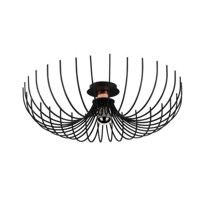 Потолочный светильник ASPENDOS 1xE27/40W/230V