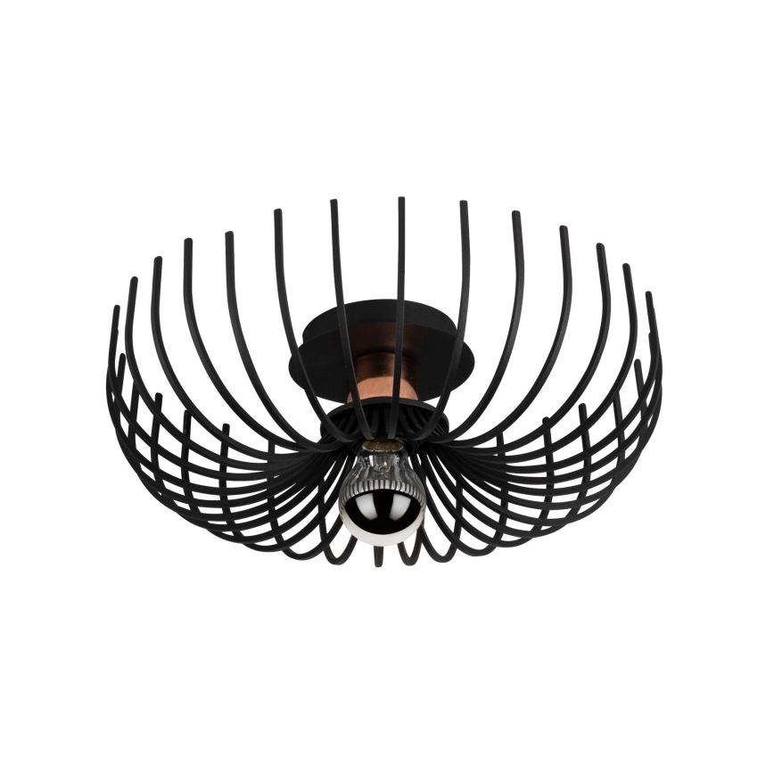 Потолочный светильник ASPENDOS 1xE27/40W/230V