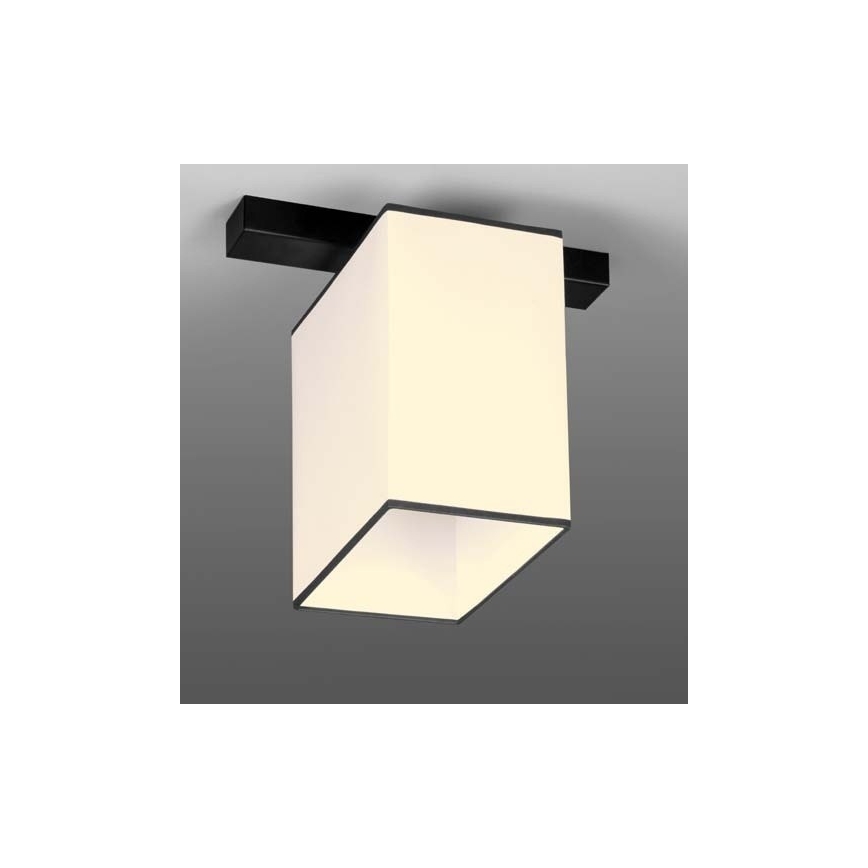 Потолочный светильник BACARA 1xE27/60W/230V