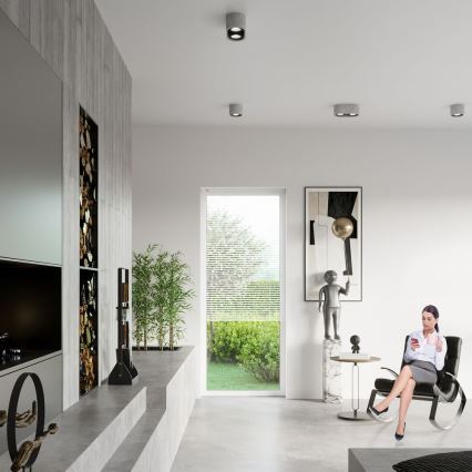 Потолочный светильник BASIC AR111 2xGU10/40W/230V бетон