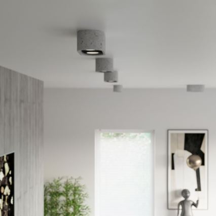 Потолочный светильник BASIC AR111 2xGU10/40W/230V бетон