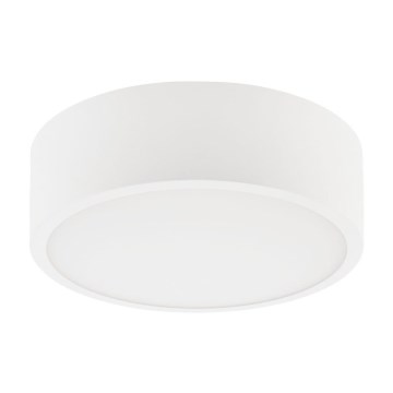 Потолочный светильник DANTE 1xE27/60W/230V диаметр 26 см белый