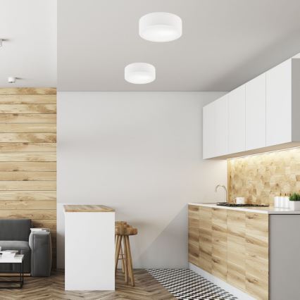 Потолочный светильник DANTE 1xE27/60W/230V диаметр 26 см белый