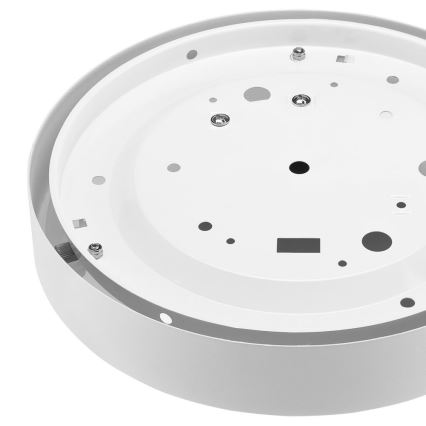 Потолочный светильник DANTE 1xE27/60W/230V диаметр 26 см белый