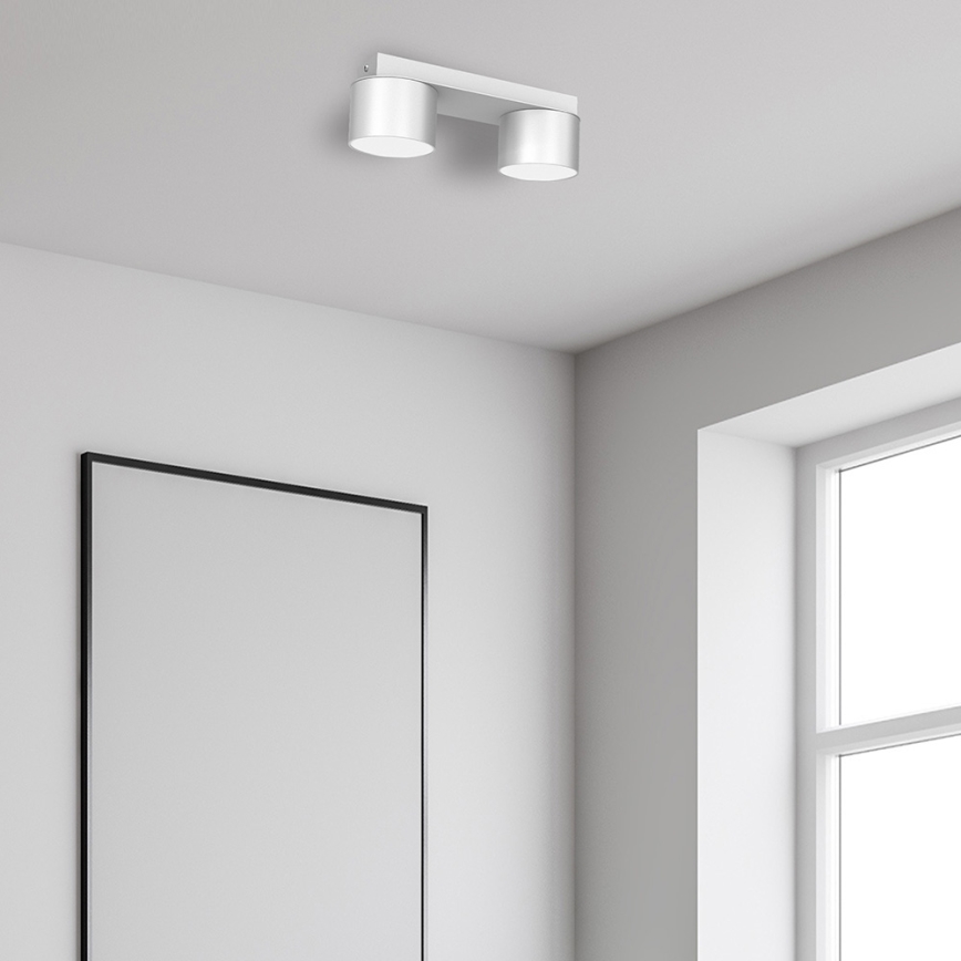 Потолочный светильник DIXIE 2xGX53/11W/230V белый