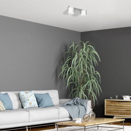 Потолочный светильник DIXIE 2xGX53/11W/230V белый