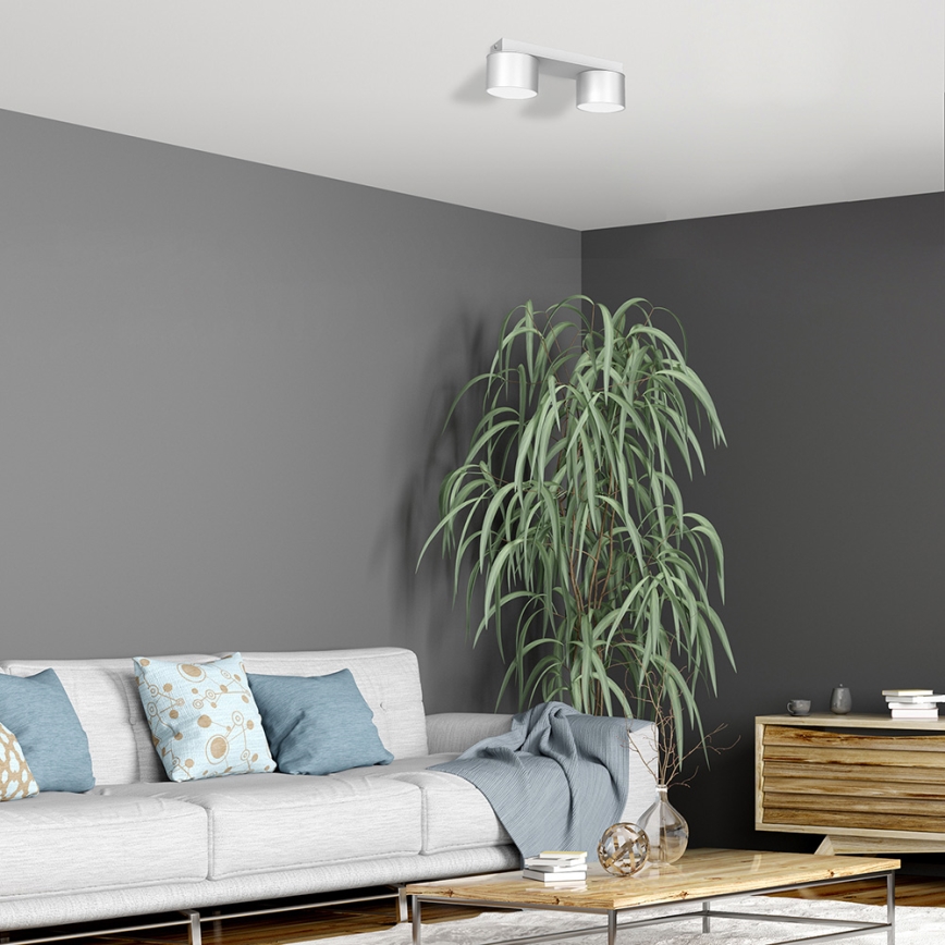 Потолочный светильник DIXIE 2xGX53/11W/230V белый