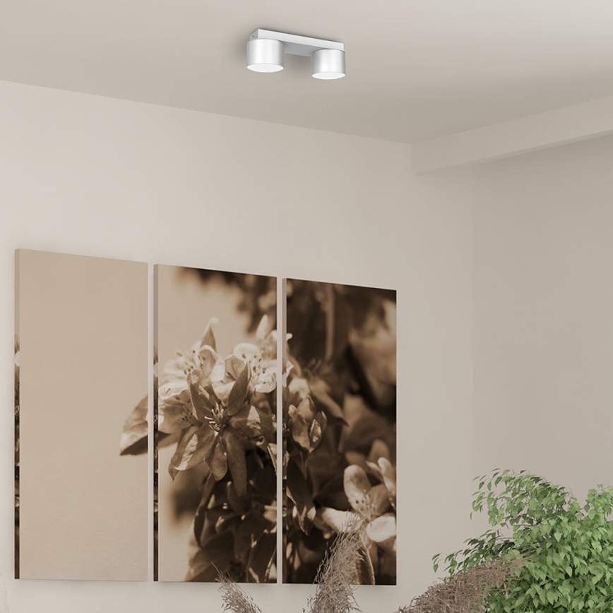 Потолочный светильник DIXIE 2xGX53/11W/230V белый