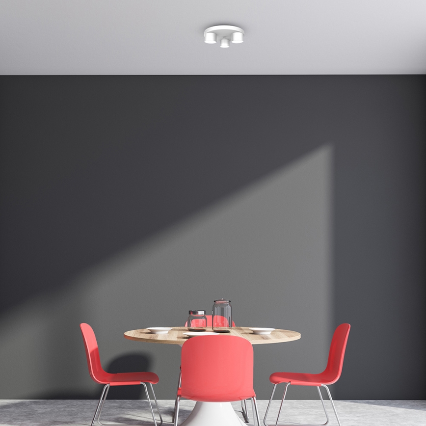 Потолочный светильник DIXIE 3xGX53/11W/230V белый