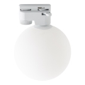 Потолочный светильник для 1-фазной трековой системы TRACER 1xG9/8W/230V белый