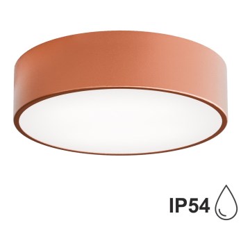 Потолочный светильник для ванной комнаты CLEO 2xE27/24W/230V d. 30 cm медь IP54