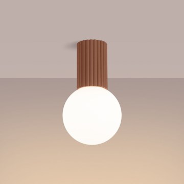 Потолочный светильник для ванной комнаты HALO 1xG9/8W/230V диаметр 12 см IP44 коричневый