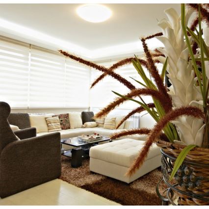 Потолочный светильник для ванной комнаты VICTOR 2xE27/60W/230V IP44