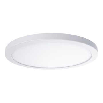 Потолочный светильник EVORA LED, 18 Вт, 230 В, 3000/4000/6000 К, диаметр 22,5 см, белый
