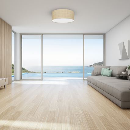 Потолочный светильник MARSHALL 2xE27/60W/230V