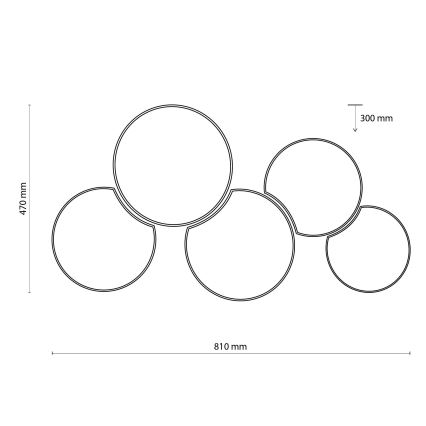 Потолочный светильник MONA 5xE27/15W/230V белый