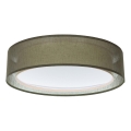 Потолочный светильник PURO 2xE27/40W/230V диаметр 60 см зелёный
