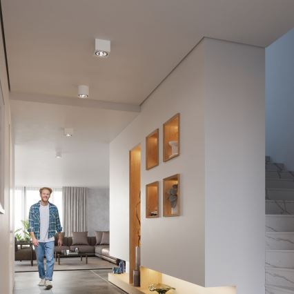 Потолочный светильник SEIDA 1xGU10/40W/230V