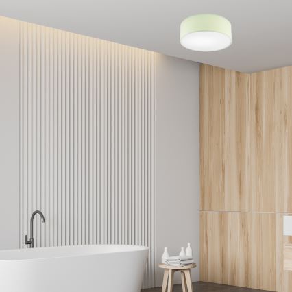 Потолочный светильник SIRJA PASTEL 1xE27/60W/230V диаметр 35 см зеленый