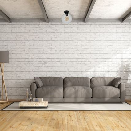 Потолочный светильник SOFIA 1xE27/60W/230V прозрачный