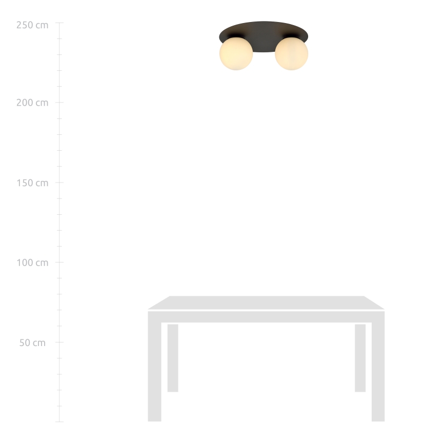 Потолочный светильник SOLAR 2xE14/10W/230V черный/белый