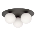 Потолочный светильник SOLAR 3xE14/10W/230V черный/белый