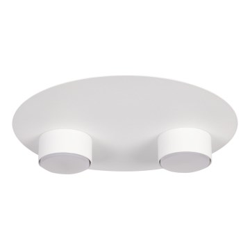 Потолочный светильник STAR 2xGX53/12W/230V белый