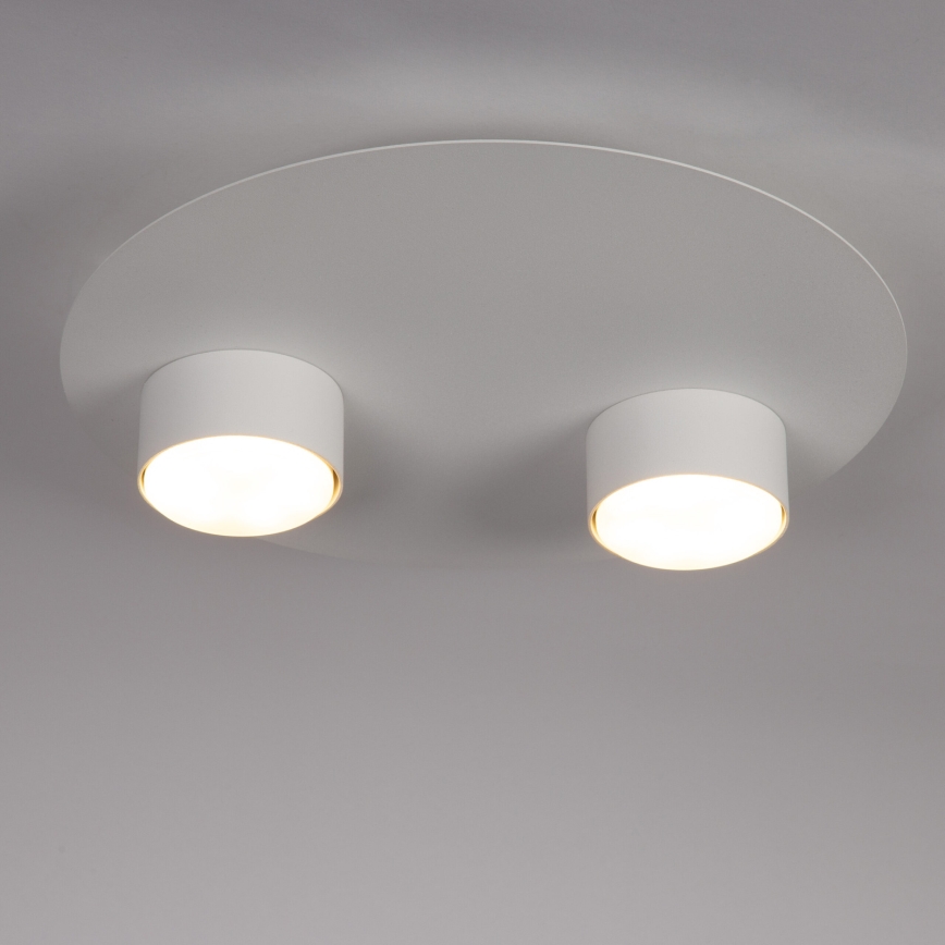 Потолочный светильник STAR 2xGX53/12W/230V белый