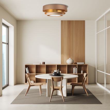 Потолочный светильник TRINITI 2xE27/60W/230V коричневый/золотой/бежевый