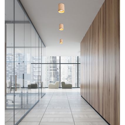 Потолочный светильник TUBA GU10/15W/230V