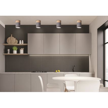 Потолочный светильник TUBA GU10/15W/230V