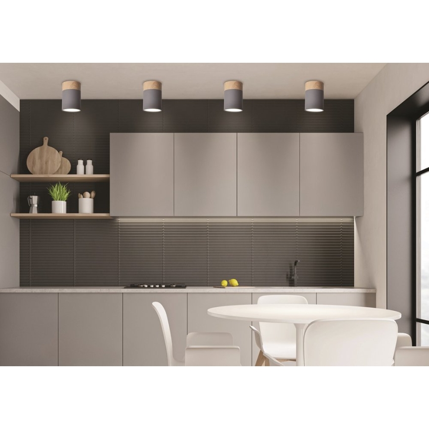 Потолочный светильник TUBA GU10/15W/230V