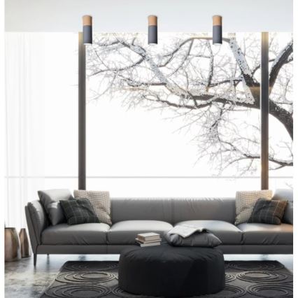 Потолочный светильник TUBA GU10/15W/230V