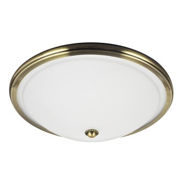 Потолочный светильник VIOLA 2xE14/40W/230V