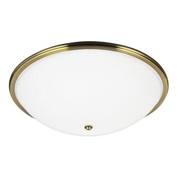 Потолочный светильник VIOLA 3xE27/40W/230V