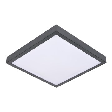 Потолочный светильник VITAL 2xE27/60W/230V антрацит