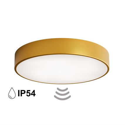 Потолочний світильник для ванної кімнати з датчиком CLEO 4xE27/24W/230V pr. 50 cm IP54 золотий