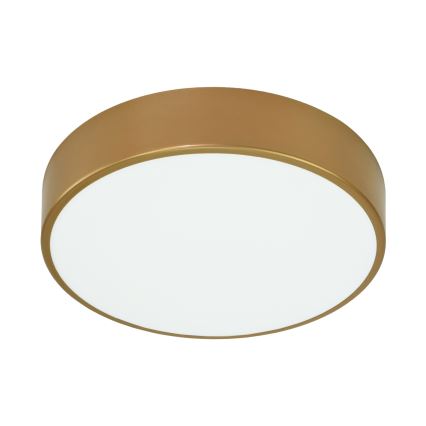 Потолочный свет CLEO 3xE27/24W/230V d. 40 cm gold