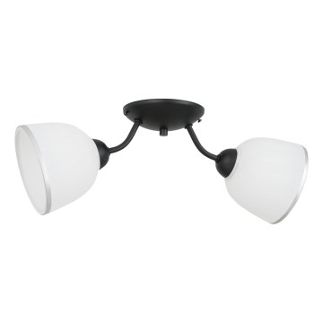 Потолочный светильник AVIA 2xE27/60W/230V