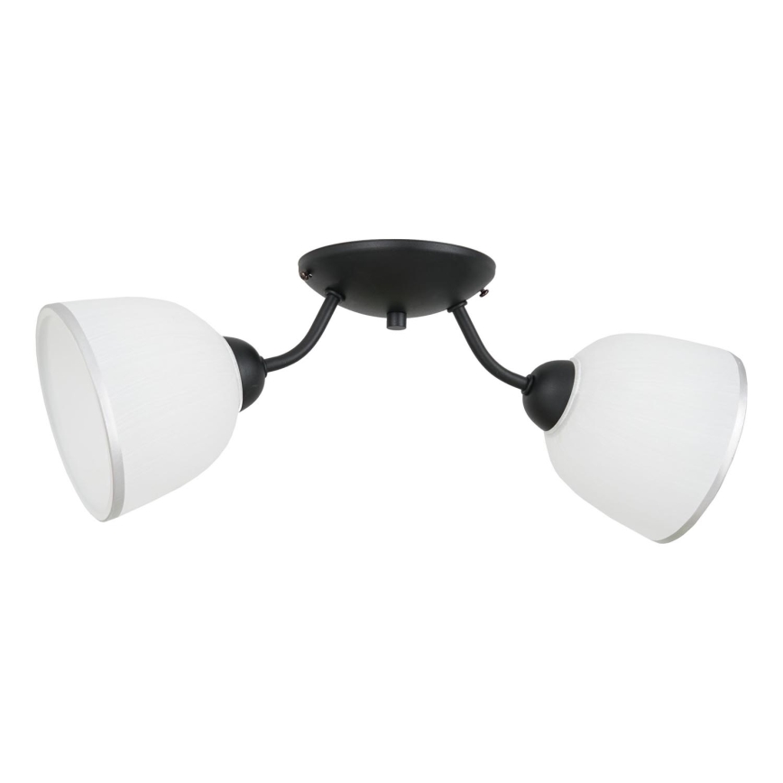 Потолочный светильник AVIA 2xE27/60W/230V